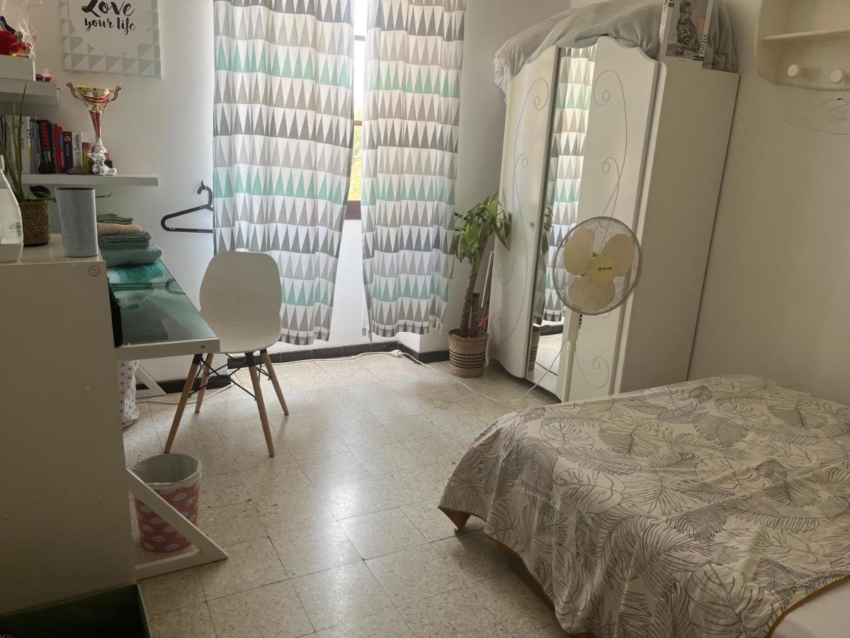 Pozzo Di Borgooo Apartment Аячо Екстериор снимка